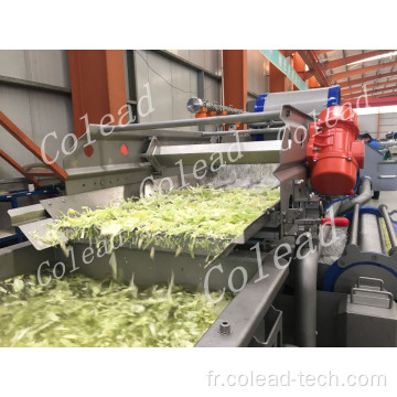 Machine à laver végétale industrielle pour légumes hachées